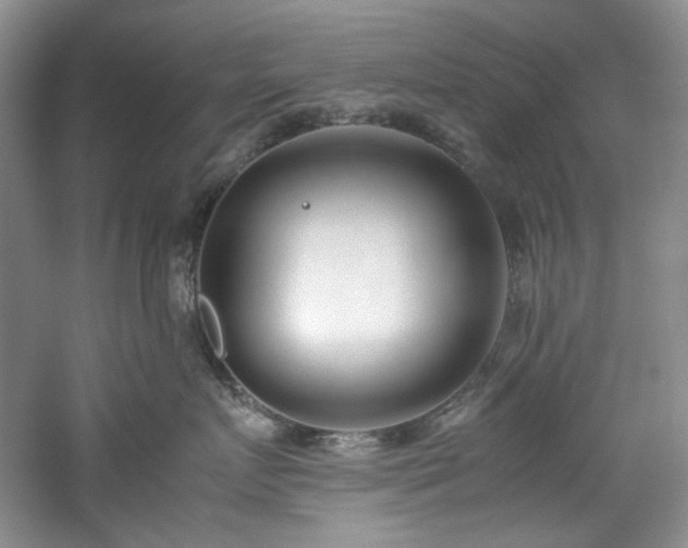 X0000061720719200512021339