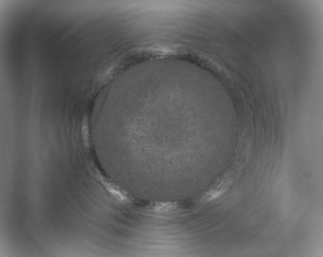 X0000061720720200512021339