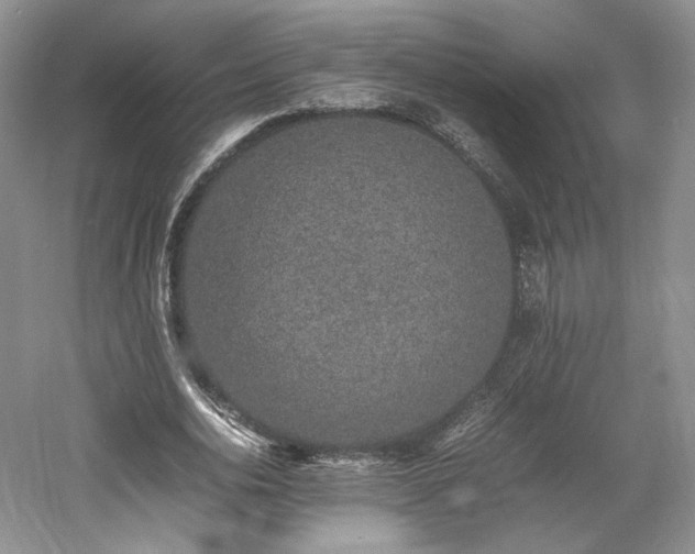 X0000061720726200512021338