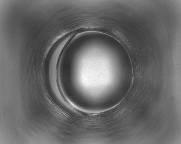 X0000061720727200512021338