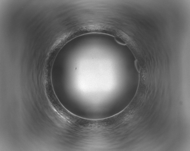 X0000061720732200512021338