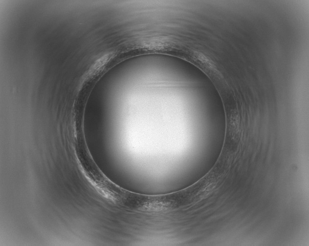X0000061720734200512021338