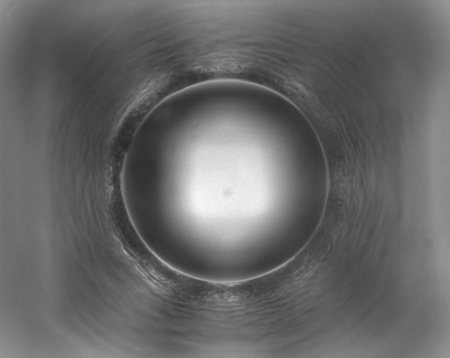 X0000061720735200512021338