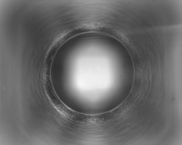 X0000061720736200512021338