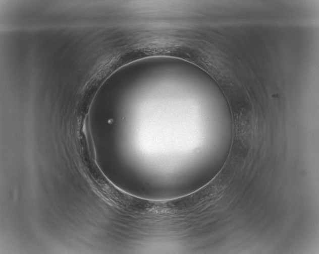 X0000061720742200512021338