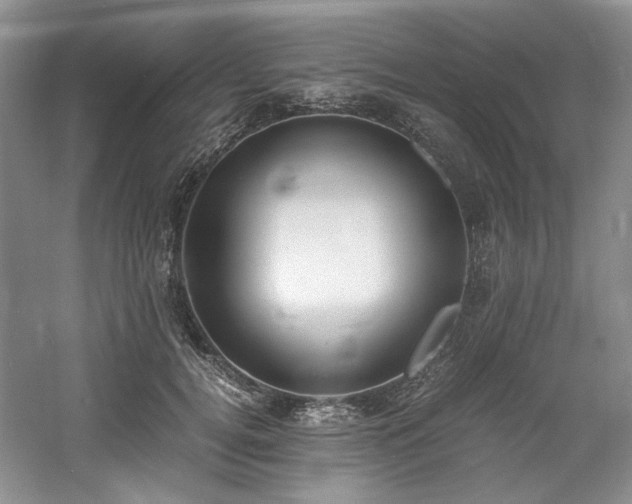 X0000061720752200512021338