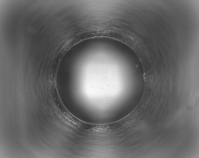 X0000061720756200512021338