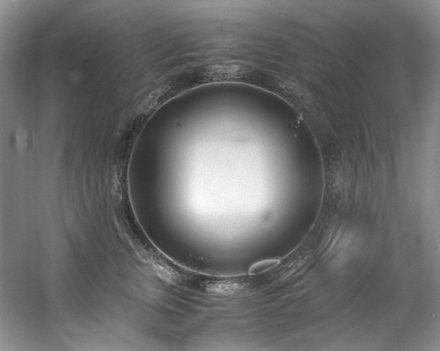 X0000061720759200512021339