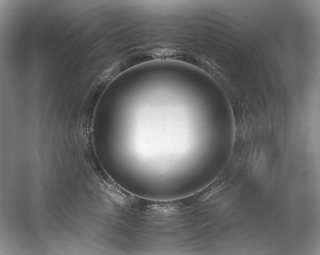 X0000061720763200512021339