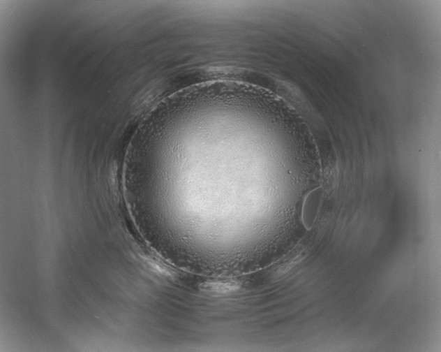 X0000061720765200512021339