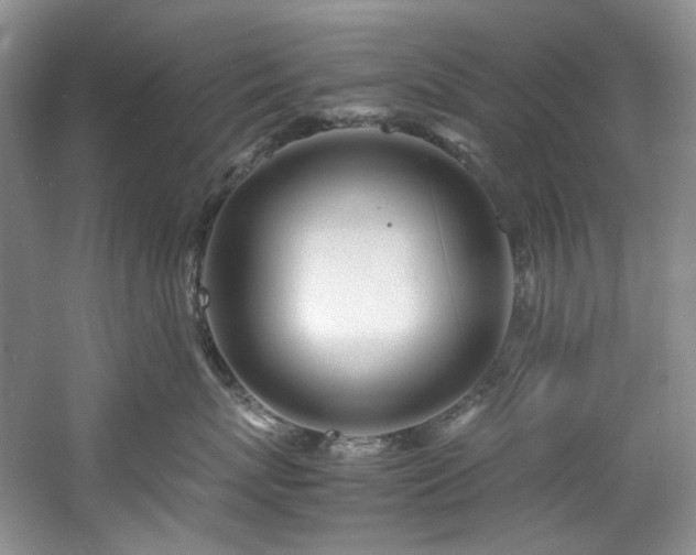 X0000061720767200512021339