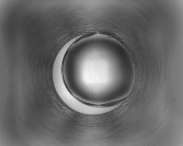 X0000061720768200512021339
