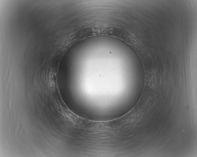 X0000061720770200512021338