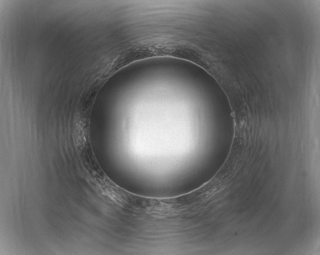 X0000061720772200512021338
