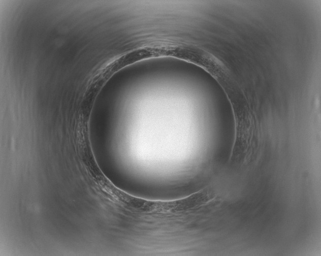 X0000061720773200512021338