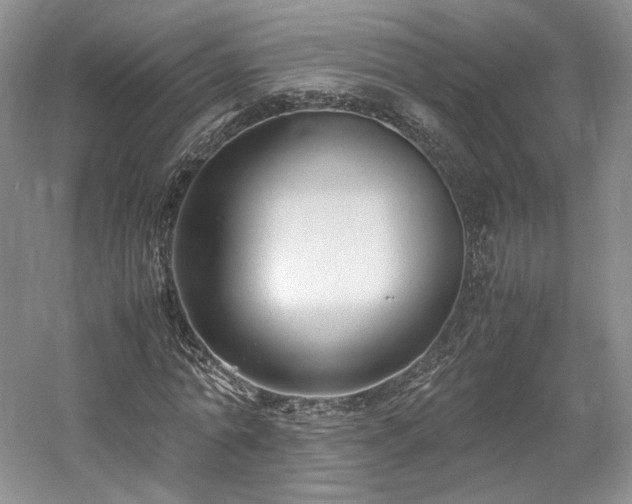 X0000061720774200512021338