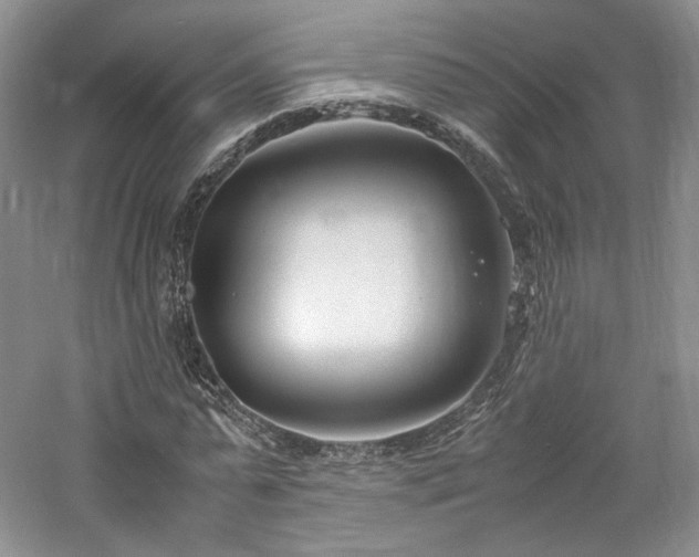 X0000061720775200512021338