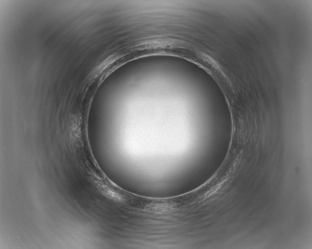 X0000061720778200512021338