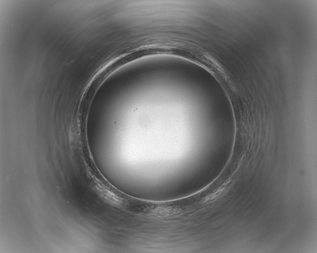 X0000061720779200512021338