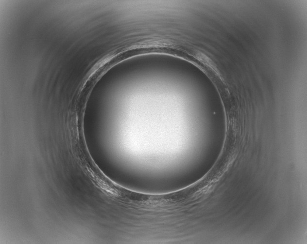 X0000061720781200512021338