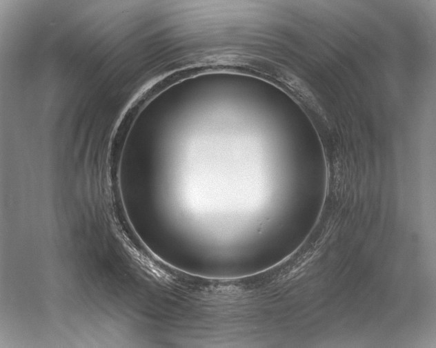 X0000061720784200512021338