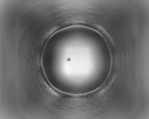 X0000061720785200512021338