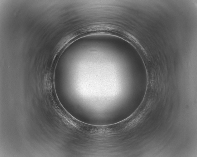 X0000061720786200512021338