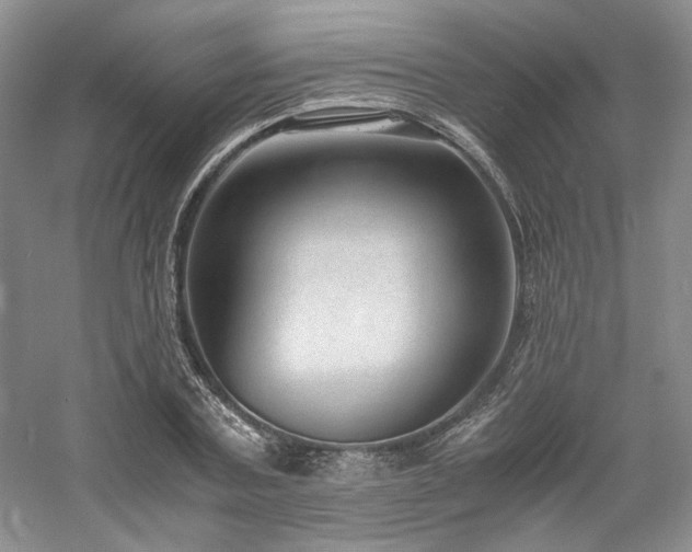 X0000061720787200512021338