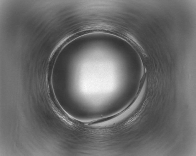 X0000061720788200512021337
