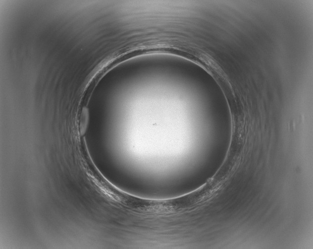 X0000061720789200512021337
