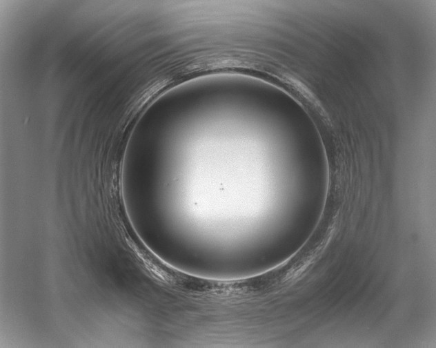 X0000061720793200512021337