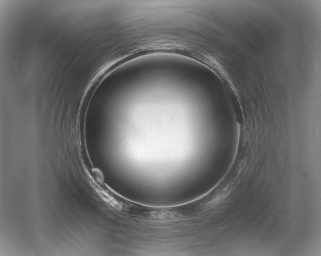 X0000061720795200512021337