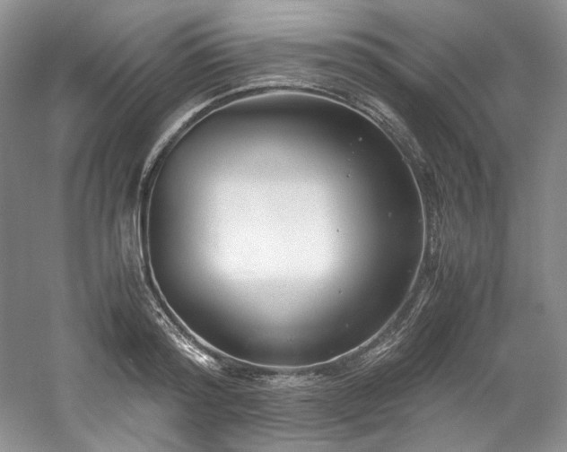 X0000061720796200512021337