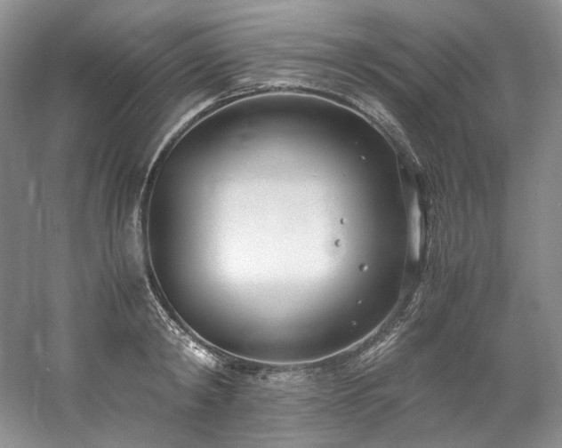 X0000061720798200512021337