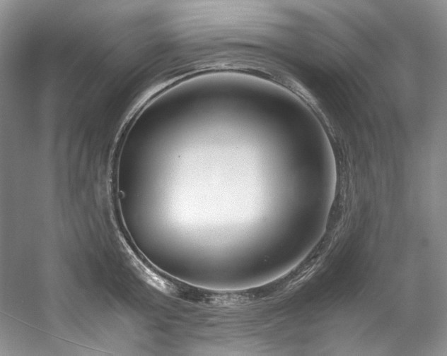 X0000061720803200512021337