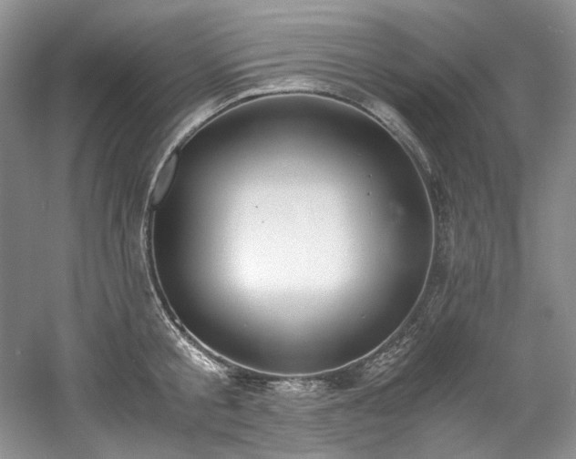 X0000061720805200512021337