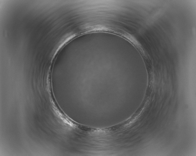 X0000061720806200512021337