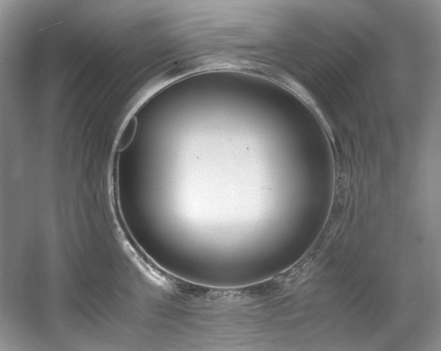 X0000061720811200512021337