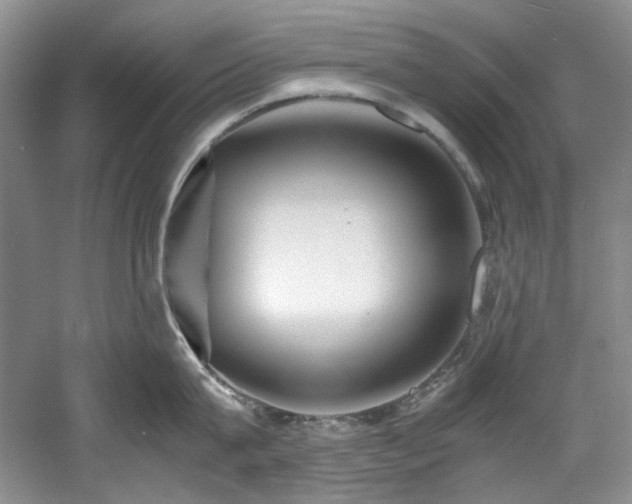 X0000061720815200512021337