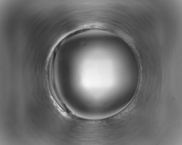 X0000061720816200512021337