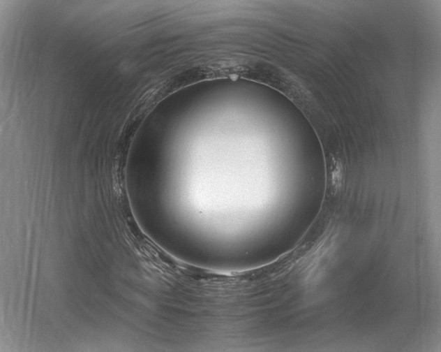 X0000061720819200512021336