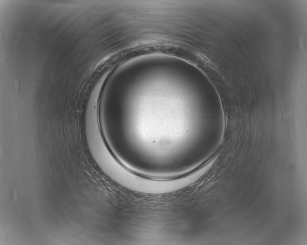 X0000061720822200512021336