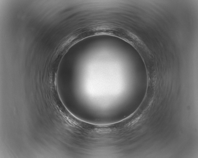 X0000061720825200512021336