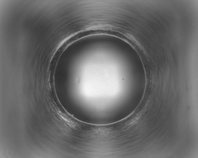 X0000061720830200512021336