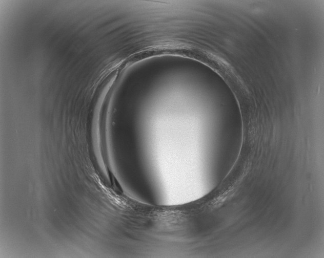 X0000061720833200512021336
