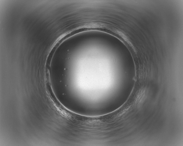 X0000061720837200512021337