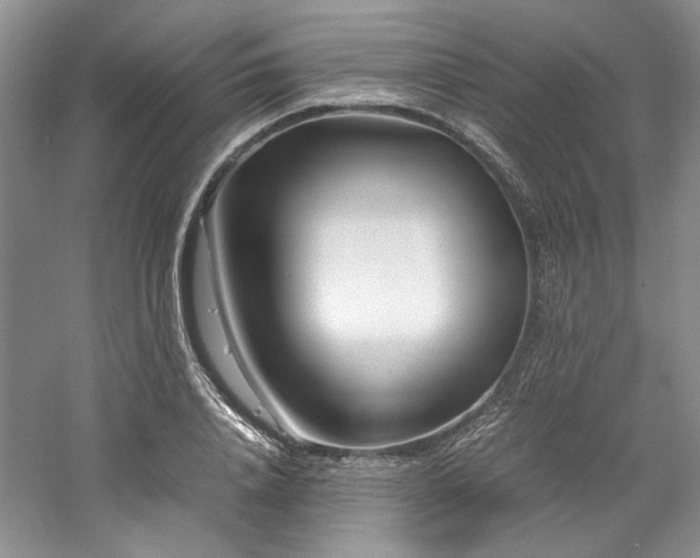 X0000061720840200512021337