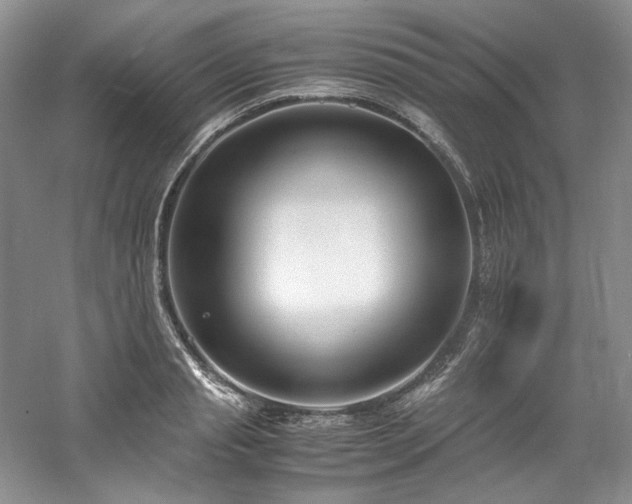 X0000061720845200512021337