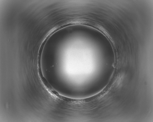 X0000061720853200512021337