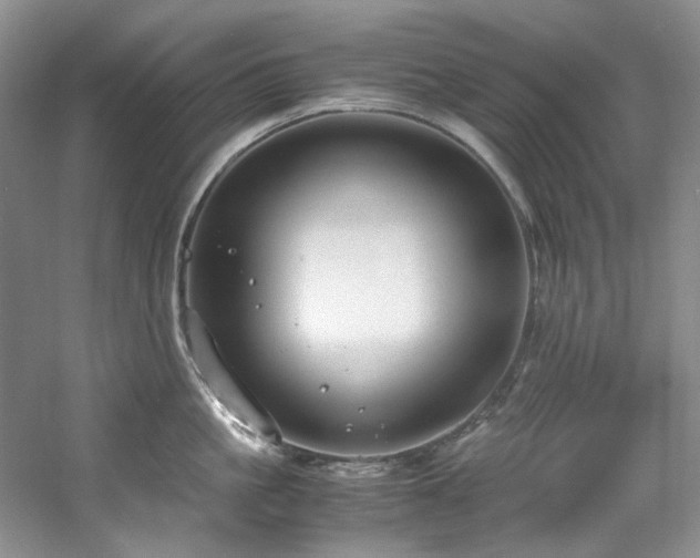X0000061720861200512021337